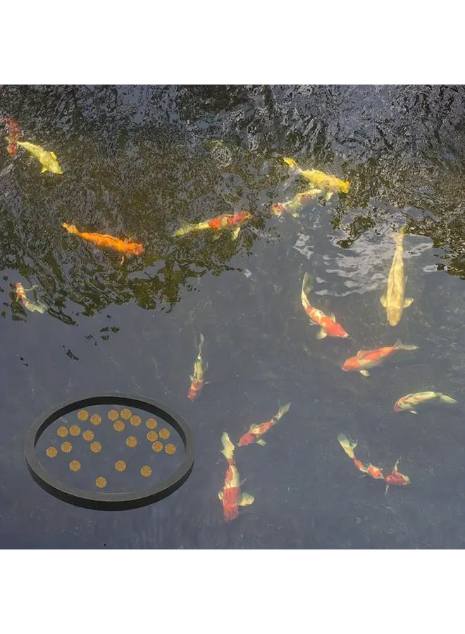 3pcs Aquarium Floating Plant Ring Reusable Foam Feeder 3 Sizes Easy Clean Fish Tank Pond - Image 5